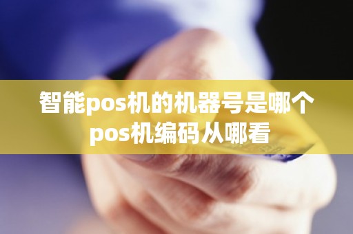 智能pos机的机器号是哪个 pos机编码从哪看