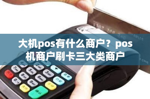 大机pos有什么商户？pos机商户刷卡三大类商户