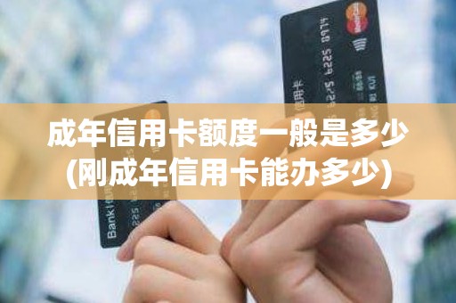 成年信用卡额度一般是多少(刚成年信用卡能办多少)