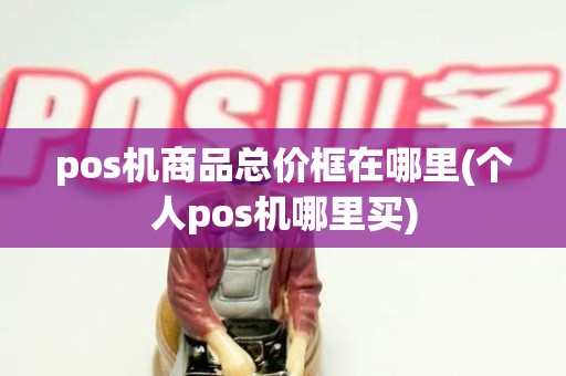 pos机商品总价框在哪里(个人pos机哪里买)