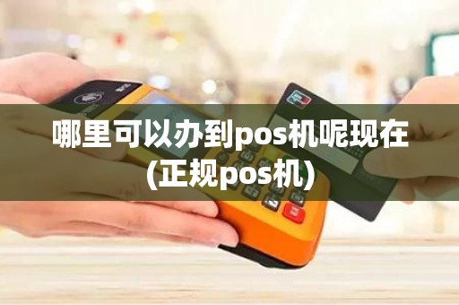 哪里可以办到pos机呢现在(正规pos机)