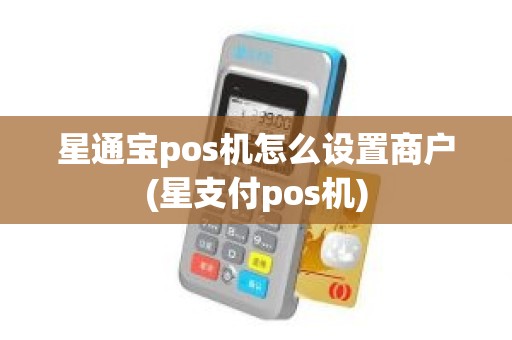 星通宝pos机怎么设置商户(星支付pos机)
