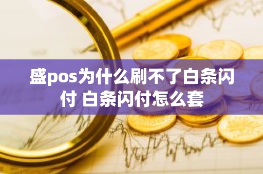 盛pos为什么刷不了白条闪付 白条闪付怎么套 盛pos为什么刷不了白条闪付 白条闪付怎么套