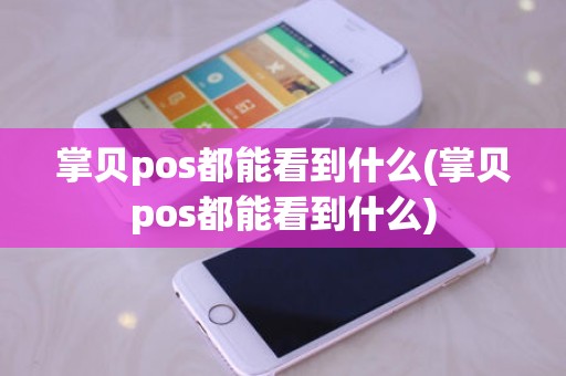 掌贝pos都能看到什么(掌贝pos都能看到什么)