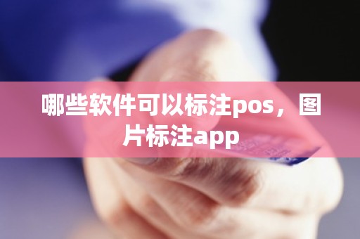 哪些软件可以标注pos，图片标注app