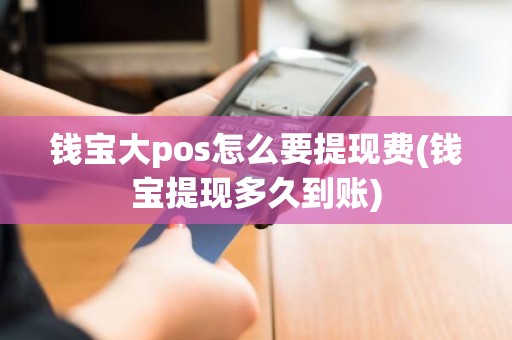 钱宝大pos怎么要提现费(钱宝提现多久到账)