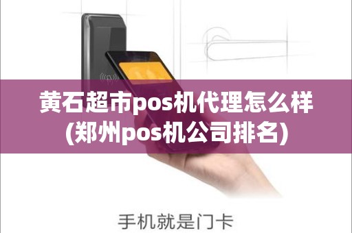 黄石超市pos机代理怎么样(郑州pos机公司排名)