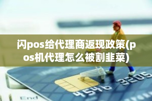 闪pos给代理商返现政策(pos机代理怎么被割韭菜)