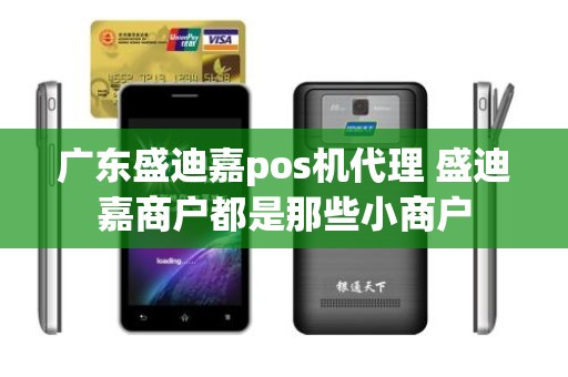 广东盛迪嘉pos机代理 盛迪嘉商户都是那些小商户 广东盛迪嘉pos机代理 盛迪嘉商户都是那些小商户