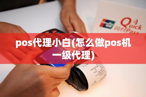 pos代理小白(怎么做pos机一级代理)