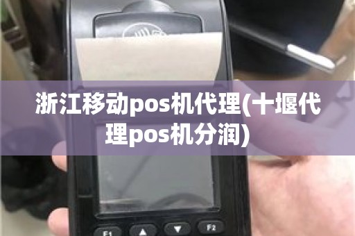 浙江移动pos机代理(十堰代理pos机分润)