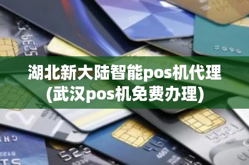 湖北新大陆智能pos机代理(武汉pos机免费办理)