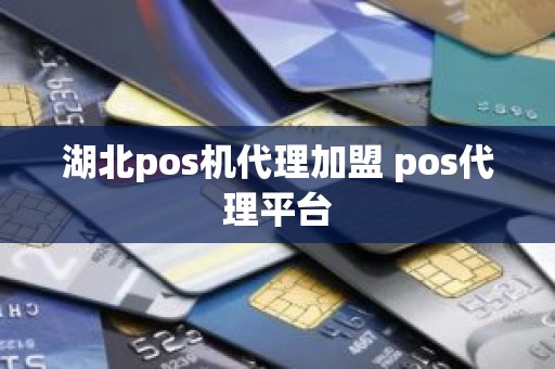 湖北pos机代理加盟 pos代理平台
