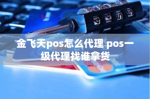 金飞天pos怎么代理 pos一级代理找谁拿货