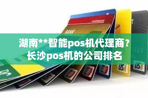 湖南**智能pos机代理商？长沙pos机的公司排名