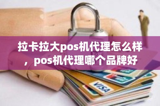 拉卡拉大pos机代理怎么样，pos机代理哪个品牌好
