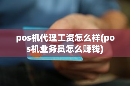 pos机代理工资怎么样(pos机业务员怎么赚钱) pos机代理工资怎么样(pos机业务员怎么赚钱)