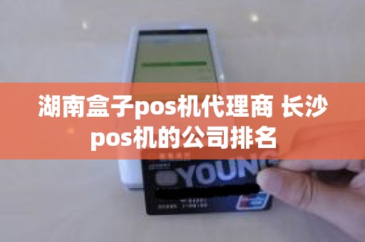 湖南盒子pos机代理商 长沙pos机的公司排名