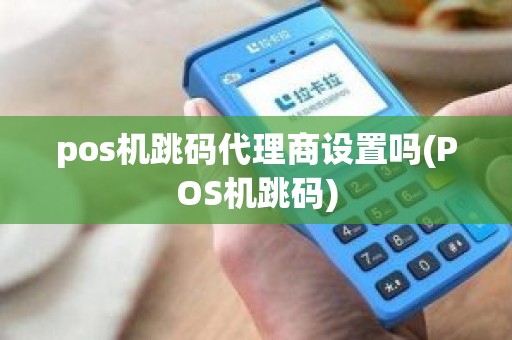 pos机跳码代理商设置吗(POS机跳码)