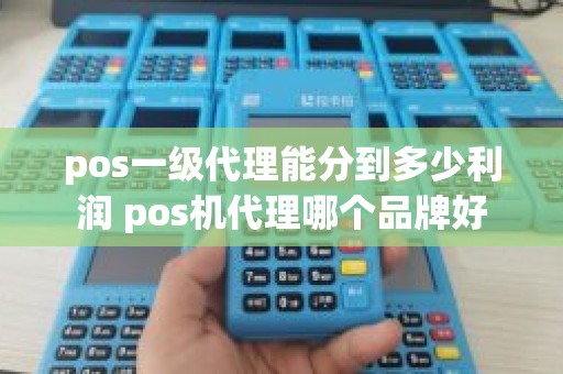 pos一级代理能分到多少利润 pos机代理哪个品牌好
