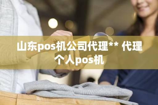 山东pos机公司代理** 代理个人pos机