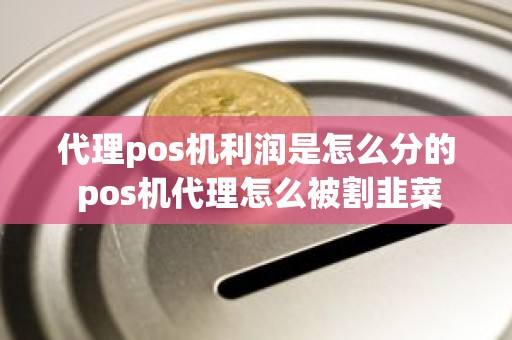 代理pos机利润是怎么分的 pos机代理怎么被割韭菜