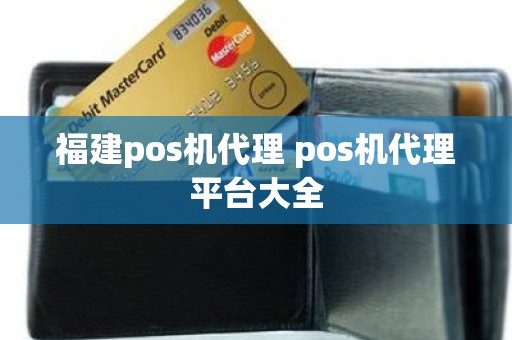 福建pos机代理 pos机代理平台大全