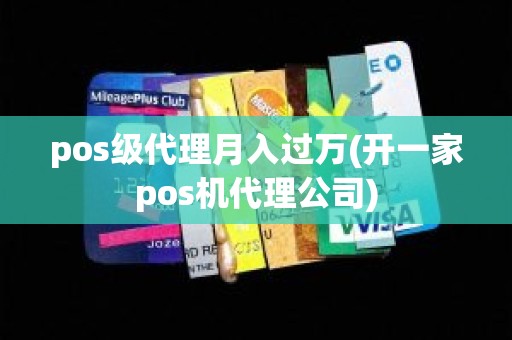 pos级代理月入过万(开一家pos机代理公司)