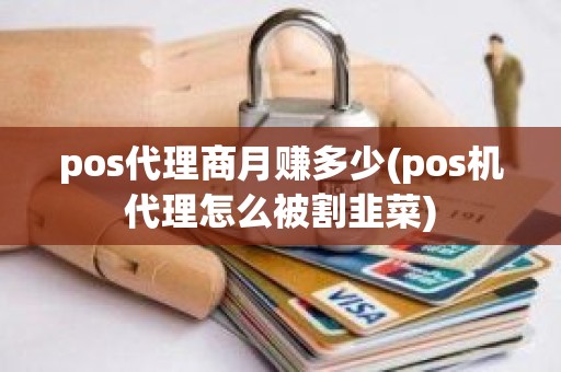 pos代理商月赚多少(pos机代理怎么被割韭菜)
