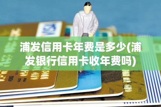 浦发信用卡年费是多少(浦发银行信用卡收年费吗)