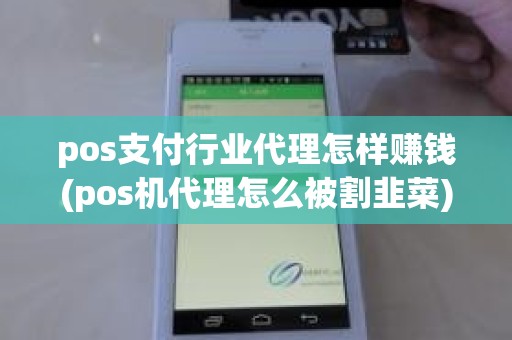 pos支付行业代理怎样赚钱(pos机代理怎么被割韭菜)