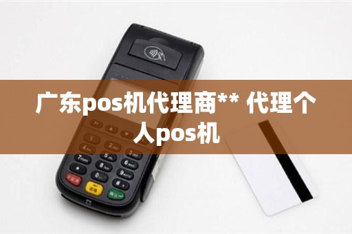 广东pos机代理商** 代理个人pos机