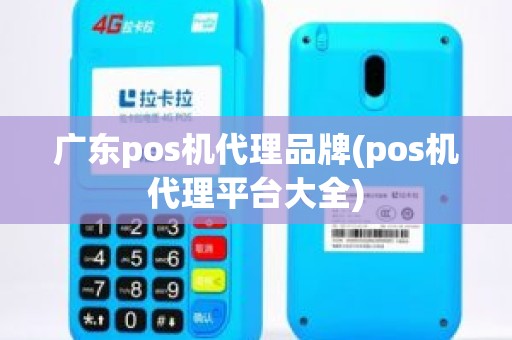 广东pos机代理品牌(pos机代理平台大全)