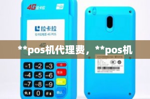 **pos机代理费，**pos机