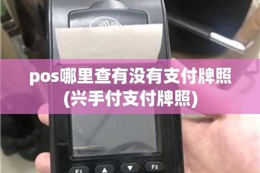 pos哪里查有没有支付牌照(兴手付支付牌照)