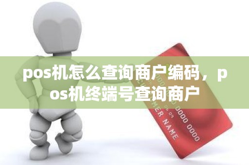 pos机怎么查询商户编码，pos机终端号查询商户