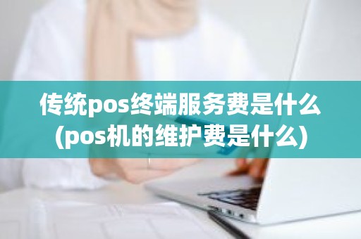传统pos终端服务费是什么(pos机的维护费是什么)