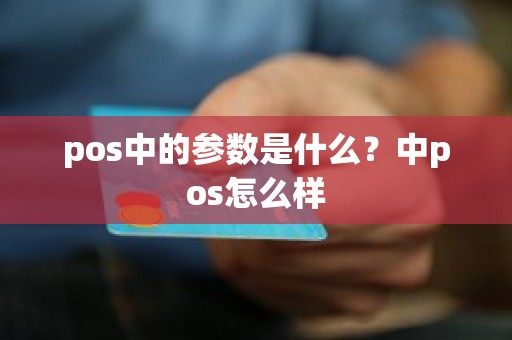 pos中的参数是什么？中pos怎么样