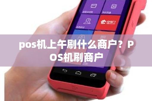 pos机上午刷什么商户？POS机刷商户