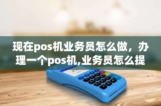 现在pos机业务员怎么做，办理一个pos机,业务员怎么提成