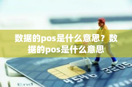数据的pos是什么意思？数据的pos是什么意思
