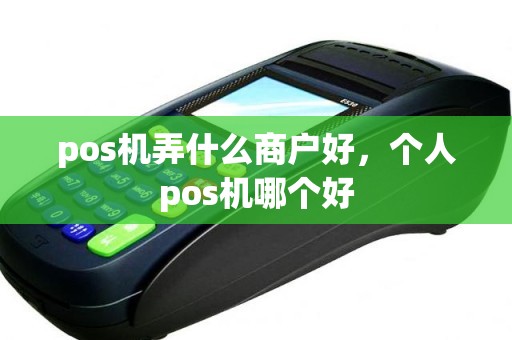 pos机弄什么商户好，个人pos机哪个好