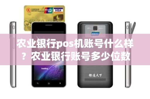 农业银行pos机账号什么样？农业银行账号多少位数