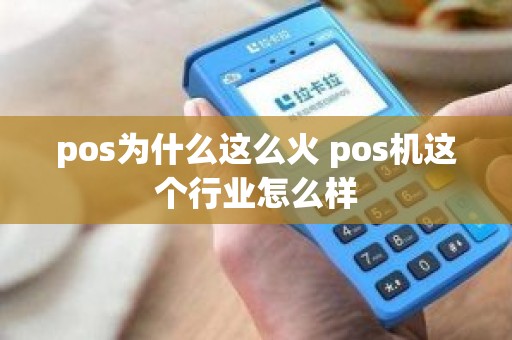 pos为什么这么火 pos机这个行业怎么样