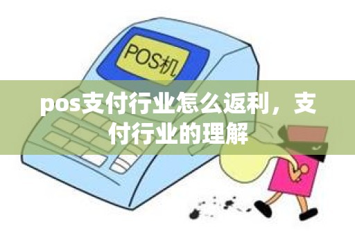 pos支付行业怎么返利，支付行业的理解