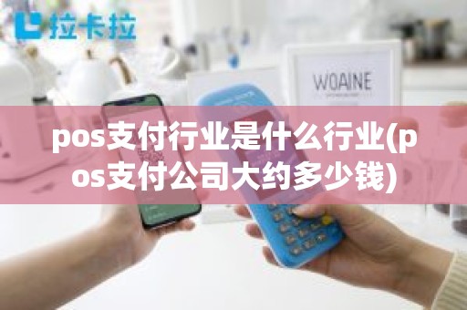 pos支付行业是什么行业(pos支付公司大约多少钱)