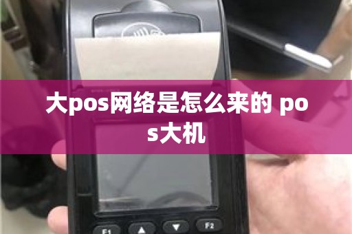 大pos网络是怎么来的 pos大机