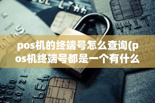 pos机的终端号怎么查询(pos机终端号都是一个有什么影响)