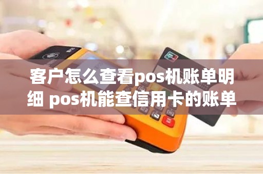 客户怎么查看pos机账单明细 pos机能查信用卡的账单明细吗