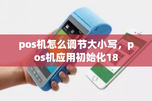 pos机怎么调节大小写，pos机应用初始化18